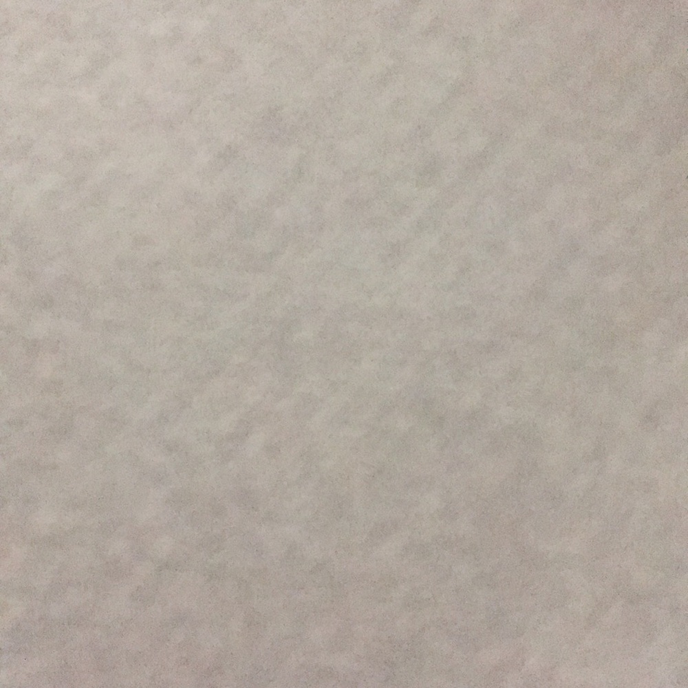 Meet your Posher, Colleen